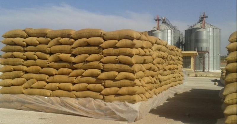 لتعزيز مخزونه الوطني..   ديوان الحبوب يعلن عن مناقصة جديدة لشراء 50 ألف طن من القمح الصلب